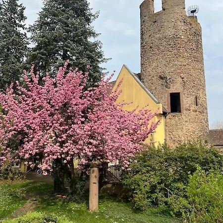 La Jolie Maison Bleue, Au Coeur De L'alsace Apartment