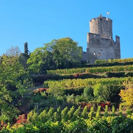 Lejlighed La Jolie Maison Bleue, Au Coeur De L'alsace