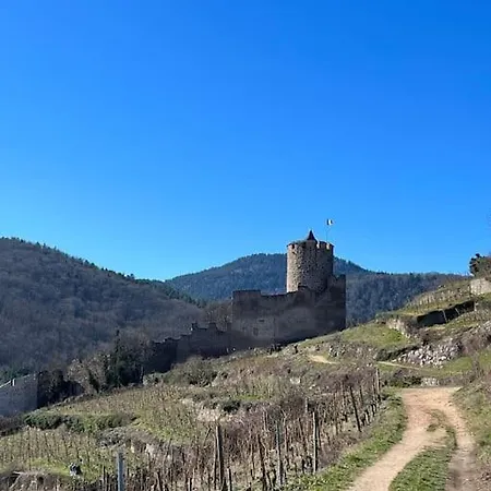 Apartment La Jolie Maison Bleue, Au Coeur De L'alsace