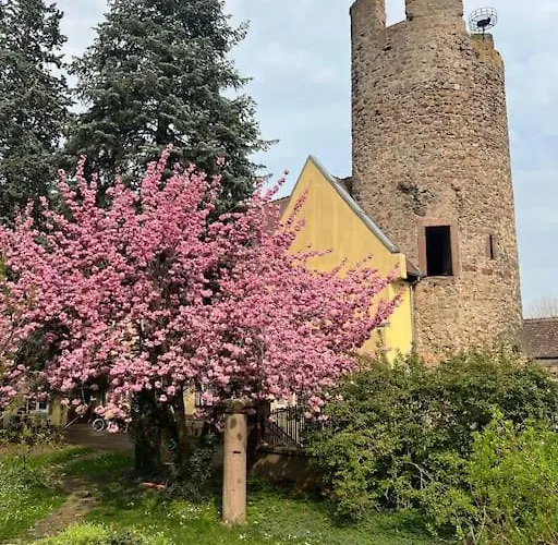 La Jolie Maison Bleue, Au Coeur De L'alsace Apartmán