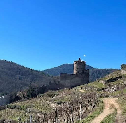 Apartmán La Jolie Maison Bleue, Au Coeur De L'alsace